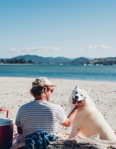 Dog and man on beach