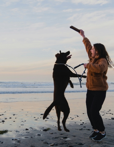 Women and dog at beach