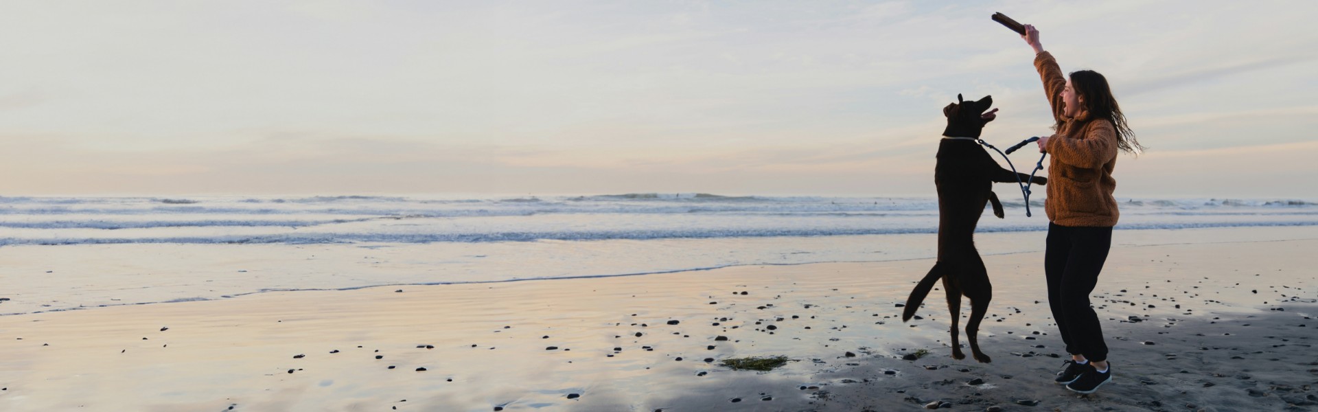 Dog and women on beach